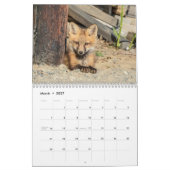 2027 赤狐 | 森の野生動物写真 カレンダー (3月 2027)