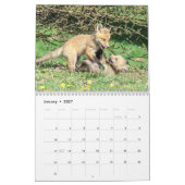 2027 赤狐 | 森の野生動物写真 カレンダー (1月 2027)