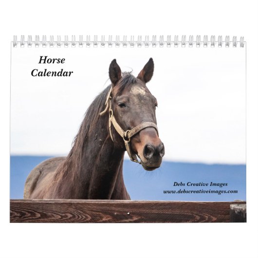 2027 Horses of New York | 馬の写真 カレンダー (カバー)