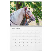 2027 Horses of New York | 馬の写真 カレンダー (3月 2027)