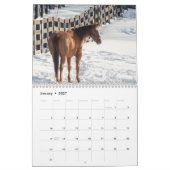 2027 Horses of New York | 馬の写真 カレンダー (1月 2027)