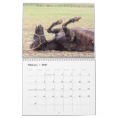 2027 Horses of New York | 馬の写真 カレンダー (2月 2027)