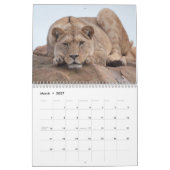 2027 Signature Big Cats Collection カレンダー (3月 2027)