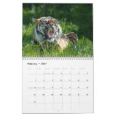 2027 Signature Big Cats Collection カレンダー (2月 2027)