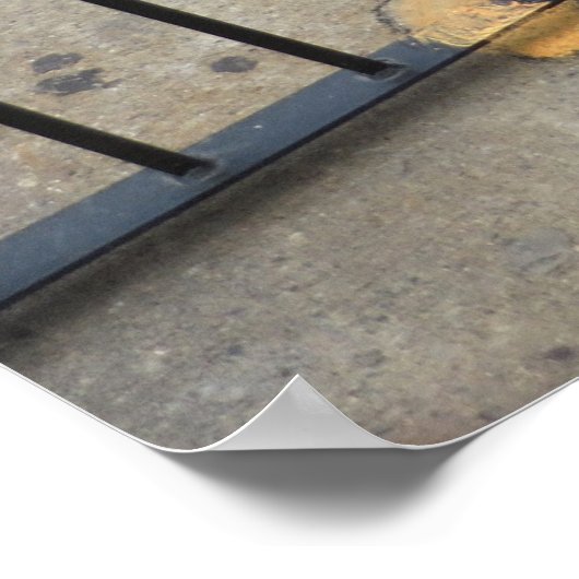 202.ネコの囚人 ポスター (角)