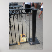 202.ネコの囚人 ポスター (正面)