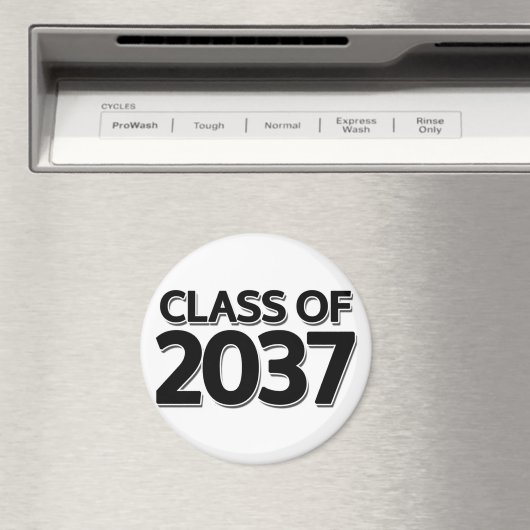 2037年クラス マグネット (インサイチュ (食洗機))