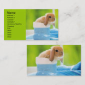 20_ベビー_animals (4)ベビーBUNNY RABBIT青緑 名刺 (正面/裏面)