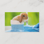20_ベビー_animals (4)ベビーBUNNY RABBIT青緑 名刺 (裏面)