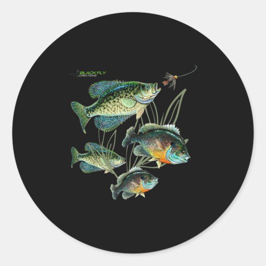 20 ラウンドシール (正面)