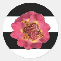 20 - 1.5封筒用シールモダンストライプ白黒