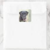 20 Black Lab Woof Stickersのシート スクエアシール (バッグ)