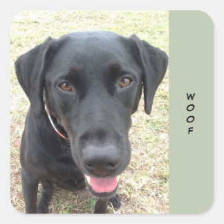 20 Black Lab Woof Stickersのシート スクエアシール
