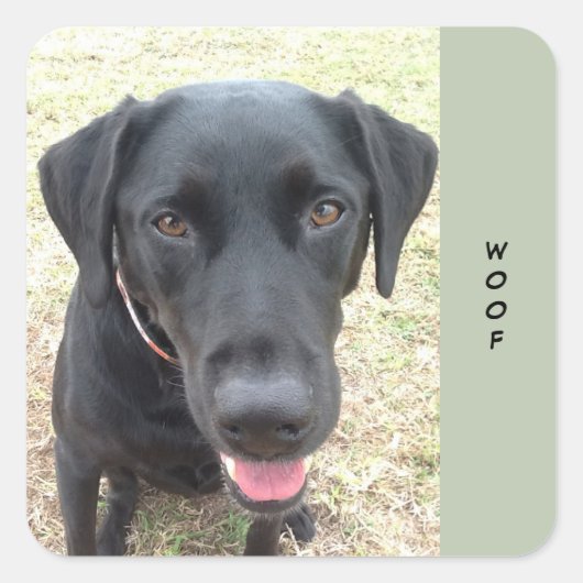 20 Black Lab Woof Stickersのシート スクエアシール (正面)
