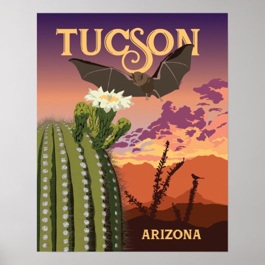 20"x16"こうもりとSaguaro Sunset ポスター (正面)