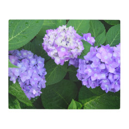 20"x16"ラベンダーアジサイ メタルプリント