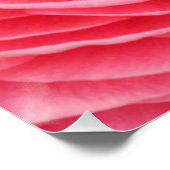 20"x20"、ポスター紙（半光沢）ピンクの花 ポスター (コーナー)