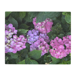 20"x26" Pink Hydrangea メタルプリント
