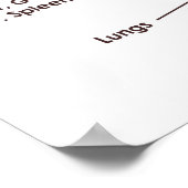 20" x 16インチ、舌リフレクソロジーグラフ(マット) ポスター (角)