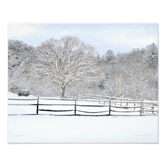 20 x 16 Walden Woodsプロジェクトファームフォトプリント フォトプリント (正面)