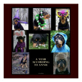 20 X 20」ポスター「アニーによる一年」 ポスター (正面)