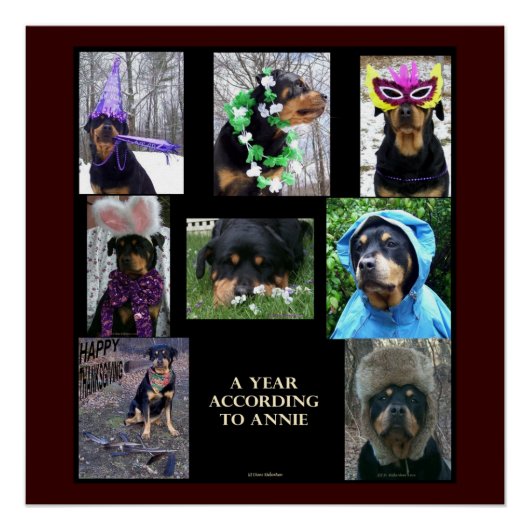 20 X 20」ポスター「アニーによる一年」 ポスター (正面)