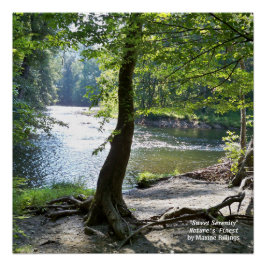 20" x 20"、ポスター（半光沢） ポスター