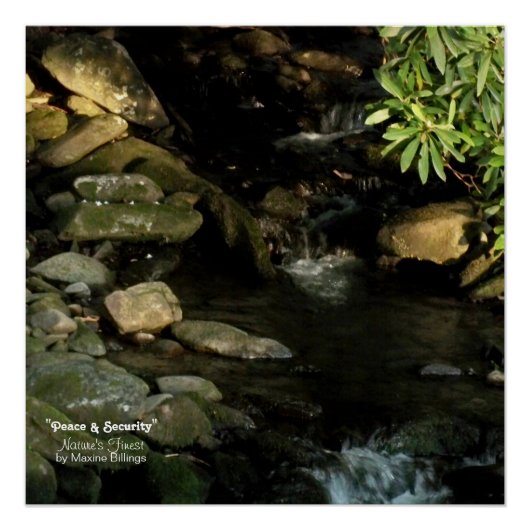 20" x 20"、ポスター（半光沢） ポスター (正面)