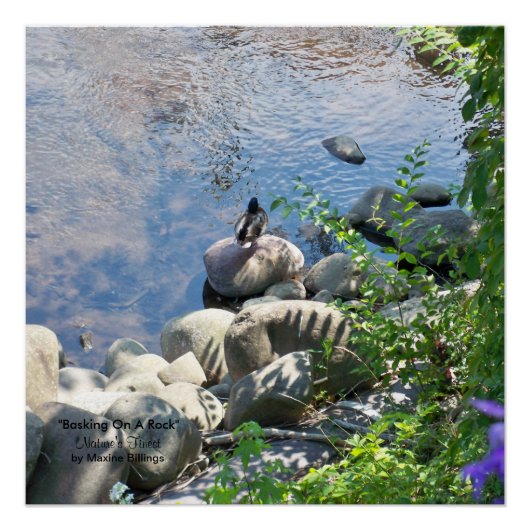 20" x 20"、ポスター（半光沢） ポスター (正面)