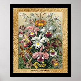 20 x 24ブラックおよび金ゴールド ポスター