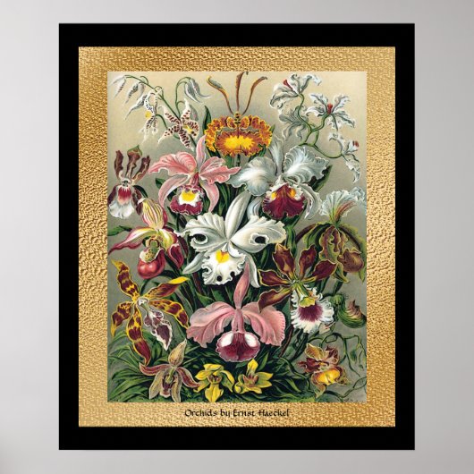 20 x 24ブラックおよび金ゴールド ポスター (正面)