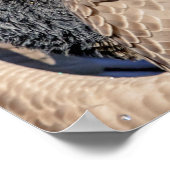 20x16カナダガチョウ ポスター (角)