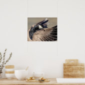 20x16カナダガチョウ ポスター (キッチン)