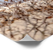 20x16スノーフクロウがビーチ ポスター (角)