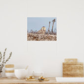 20x16スノーフクロウがビーチ ポスター (キッチン)