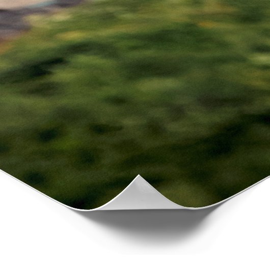 20x16ハゲワシ通り砦ティコンデロガ ポスター (角)