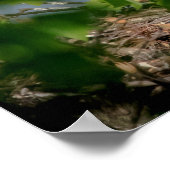 20x16ハゲ離れワシの巣 ポスター (角)