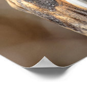 20x16バーンドウル ポスター (角)