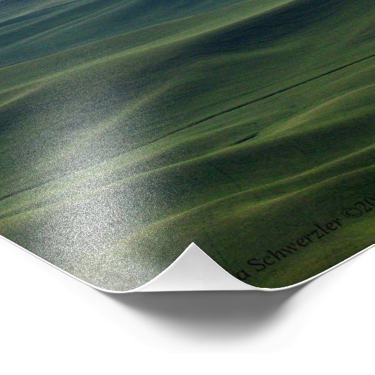 20X16パルーズヒルズ転がの優しい丘 フォトプリント (角)