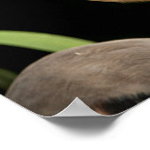 20x16ブルー素晴らしヘロン ポスター (角)