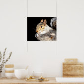 20x16リス食べ物ルのナット ポスター (キッチン)