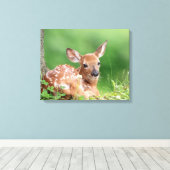 20x16愛らしい子鹿が木の下に横たわる キャンバスプリント (インサイチュ (ウッドフロア))
