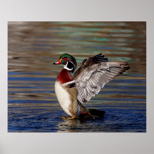 20x16木製ダック ポスター (正面)