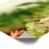 20x16若いGroundhog ポスター (角)