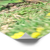 20x16赤キツネキッ遊ト ポスター (角)