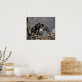 20x16 Bald Eagleとベビー ポスター (キッチン)