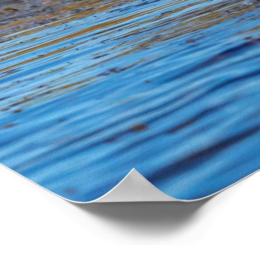 20x16 Reddish Egret on North Beach ポスター (角)