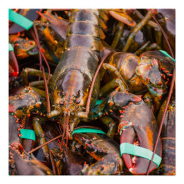 20x20のポスター紙（半光沢） ポスター