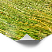 20x20グリーベアの光沢のあるポスター ポスター (コーナー)