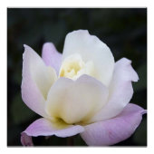 20x20ポスター ポスター (正面)